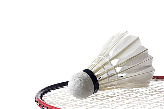 調整狀態 調整狀態