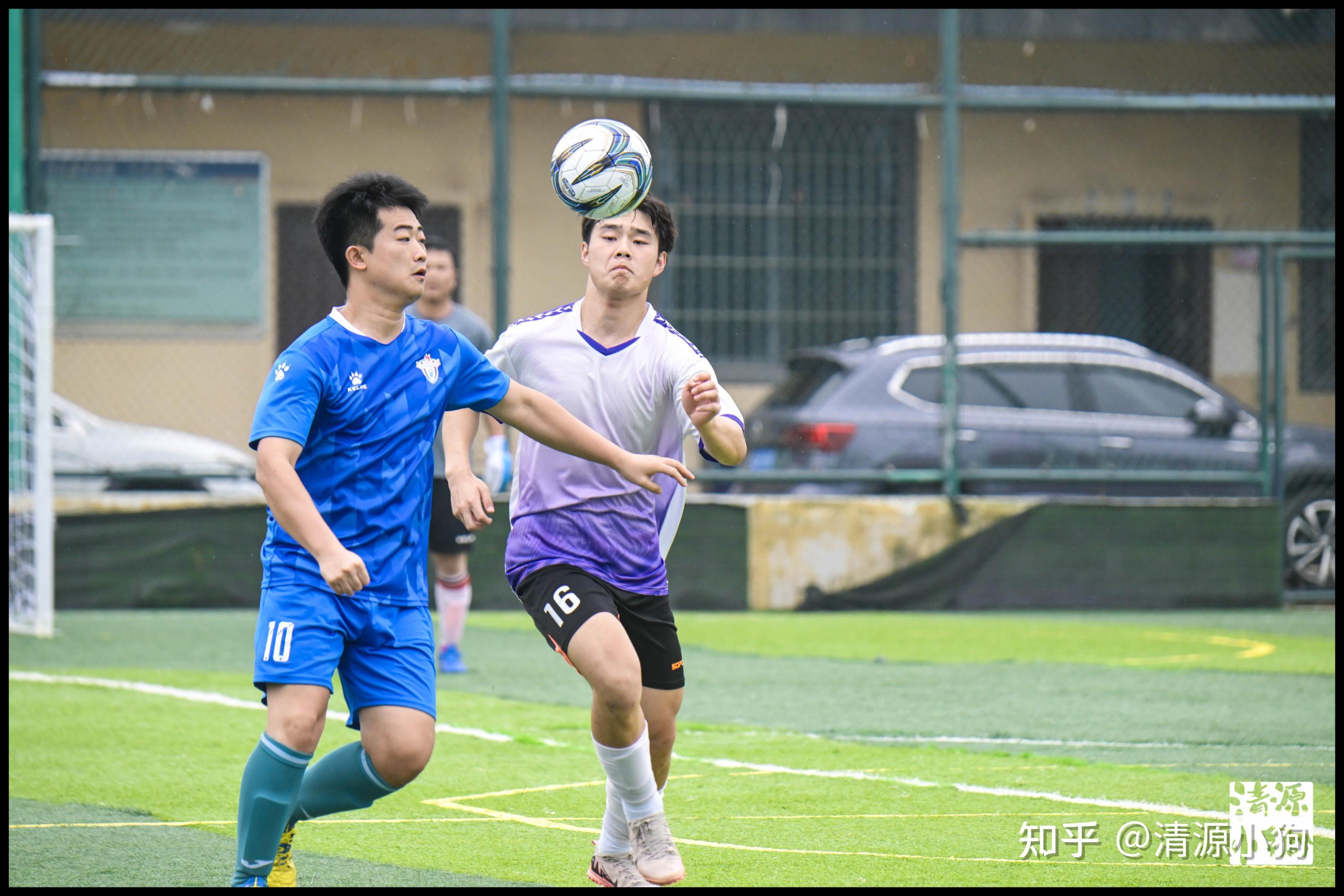 来在归化球 来在归化球