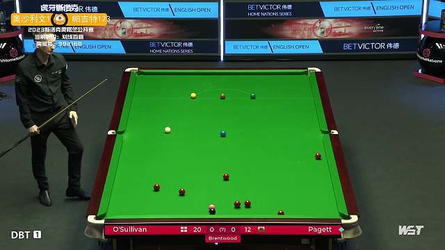 身为职业球 身为职业球