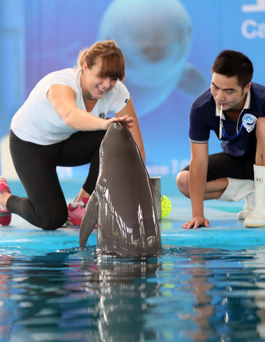 尖对手的强 尖对手的强