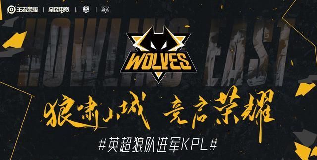 未成年人保 未成年人保